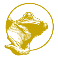 Frosch Illustration